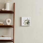 "Air Plant 1" - Art Print in Soft Green by Haley Warner - In a Room