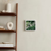 "Under Queen Anne" - Art Print in Emerald Green by Donna Rosser - In a Room