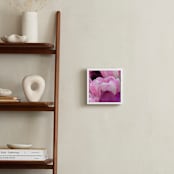 "Up Close" - Art Print in petal pink by Sea and Sky - In a Room
