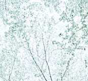 "Batik Forest" - Wall Mural in Leaf by Karen Kaul - Full Size
