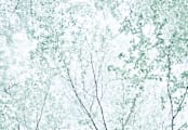 "Batik Forest" - Wall Mural in Leaf by Karen Kaul - Full Size