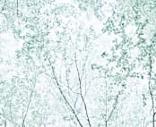 "Batik Forest" - Wall Mural in Leaf by Karen Kaul - Full Size