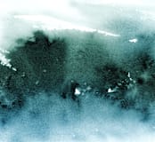 "misty forest" - Wall Mural in Forest by Lindsay Megahed - Full Size