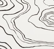 "Walkabout" - Wall Mural in White by Kelly Johnston - Full Size