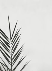 "One" - Wall Mural in Smokey by Stacy Cooke - Full Size