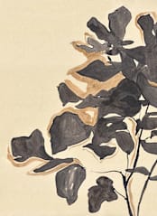 "Young Fig" - Wall Mural in Cream by Laura Condouris - Full Size