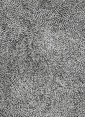 "10,000 Grains" - Wall Mural in Black and White by Bryn Wears-Fitipaldi - Full Size