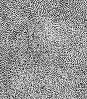 "10,000 Grains" - Wall Mural in Black and White by Bryn Wears-Fitipaldi - Full Size