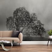 "in the rain" - Wall Mural in charcoal by Crystal Lynn Collins - In a Room