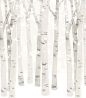 "Birch Woods in Winter" - Wall Mural in Grey by Shannon Chen of Four Wet Feet Studio - Full Size