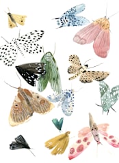 "Moths" - Wall Mural in White by Emilie Simpson - Full Size