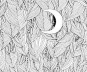"Peek A Boo" - Wall Mural in White by Helen H Wu - Full Size