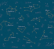 "Celestial" - Wall Mural in White by Erica Krystek - Full Size