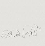 "Polar Bears" - Wall Mural in White by Coit Creative - Full Size
