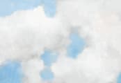 "Cumulus" - Wall Mural in White by Lynne Millar - Full Size