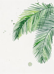 "Summer Palms" - Wall Mural in White by Kelsey McNatt - Full Size