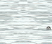 "Seal" - Wall Mural in Cream by Jorey Hurley - Full Size