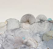 "Shells in sand" - Wall Mural in Sand by Aspa Gika - Full Size