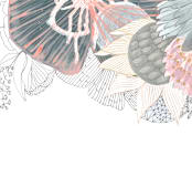 "Imagine Blooms - Landscape" - Wall Mural in White by Maggie Ramirez Burns - Full Size