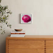 "Budding Ranunculus 3" - Art Print in fuchsia pink by Jessica Marchetti - In a Room