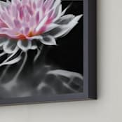 "Misty Dahlia" - Art Print in Misty Pink by A MAZ Design - Frame Close-up