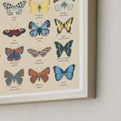 "Butterfly Guide" - Art Print in Dune by IGGI - Frame Close-up