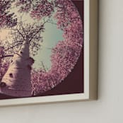 "Infrared Birch Forest" - Art Print in Infrared by Elena Kulikova - Frame Close-up