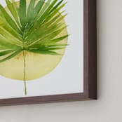 "spotlight - fan palm" - Art Print in palm frond by Kiana Lee - Frame Close-up