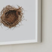 "The Architect" - Art Print in Nestlé by Andrew McClintock - Frame Close-up