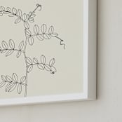 "Wild Pea" - Art Print in charcoal on ivory background by Jorey Hurley - Frame Close-up