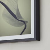 "My Love for Calla #1" - Art Print in dark beige by M.E.Segantini - Frame Close-up