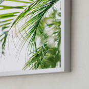 "Palm 3" - Art Print in color by Kamala Nahas - Frame Close-up