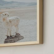 "Llama Chill" - Art Print in Cream Beige by Tai - Frame Close-up