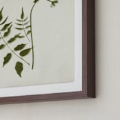 "Foraged II" - Art Print in Verdant by Kamala Nahas - Frame Close-up