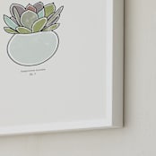 "Succulent figure 1" - Art Print in celadon by Stacey Meacham - Frame Close-up