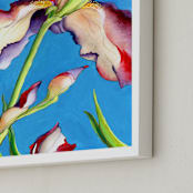 "Iris I, Colorful Floral" - Art Print in Sky Blue by Kathleen Ney - Frame Close-up