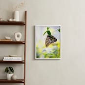 "Owl Eyed" - Art Print in Green by raven erebus - In a Room