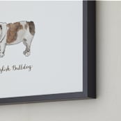 "English Bulldog" - Art Print in Brown by Megan Kelso - Frame Close-up