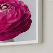 "Budding Ranunculus 3" - Art Print in fuchsia pink by Jessica Marchetti - Frame Close-up