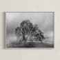 "in the rain" - Art Print in Stormy by Crystal Lynn Collins - Framed