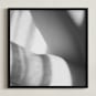 "Basking" - Art Print in Black and white by Catherine Culvenor - Framed