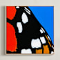 "Magnificent Monarch" - Art Print in Butterfly Orange by Janie Allen - Framed Canvas