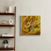 "Spring Dance" - Art Print in Sunshine by Mandy Trimble Leonard - In a Room
