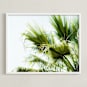 "Singularity" - Art Print in Palm Green by Bethania Lima - Framed