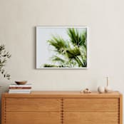 "Singularity" - Art Print in Palm Green by Bethania Lima - In a Room