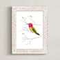 "Anna's Hummingbird" - Art Print in Magenta by Alf and Auguri - Framed