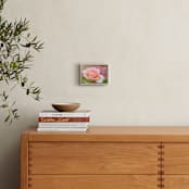 "The Perfect Rose" - Art Print in peachy pink by Alexis Arnold - In a Room
