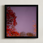 "Hot Stars" - Art Print in Cosmic Mauve by Jeff Preuss - Framed