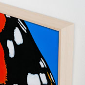 "Magnificent Monarch" - Art Print in Butterfly Orange by Janie Allen - Frame Close-up