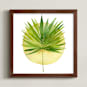 "spotlight - fan palm" - Art Print in palm frond by Kiana Lee - Framed
